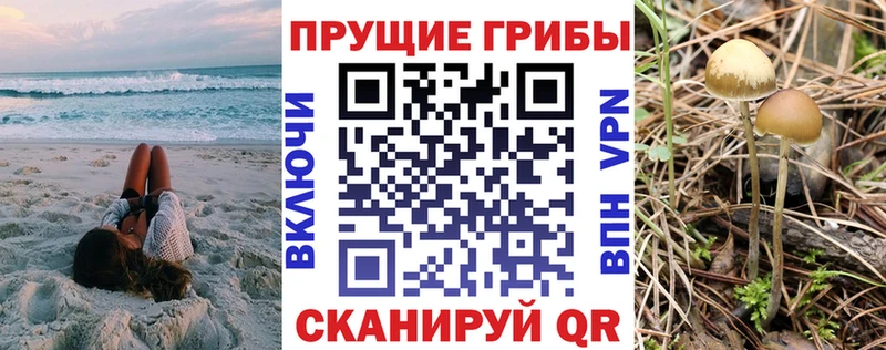 что такое наркотик  Касли  Галлюциногенные грибы мухоморы 